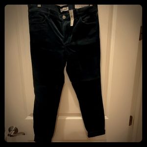 NWT Loft Modern Skinny Green Corduroy